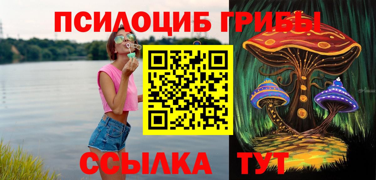 Галлюциногенные грибы Magic Shrooms  Галлюциногенные грибы MAGIC MUSHROOMS  Елабуга  Вход с VPN 